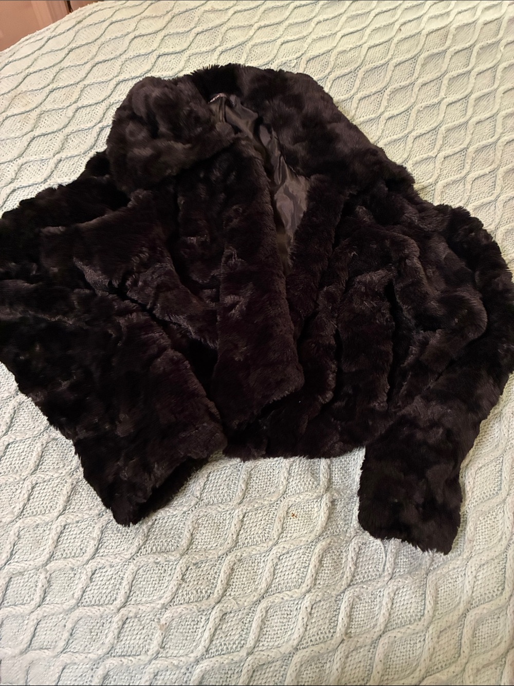 SHEIN Black Plush Faux Fur Teddy Coat